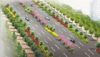 312国道绿化工程