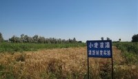 邓州市农业试验田工程